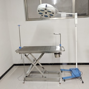 Vet Veterinary Instruments Professional Hydraulic Stainless Steel Pets Examination Table